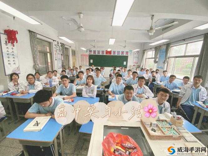 巢湖一中网课视频：精彩教学呈现