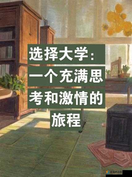 成熟交：一段充满激情的旅程