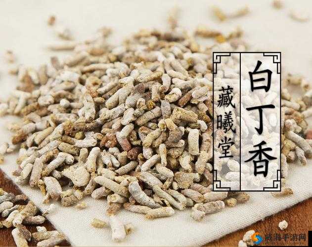 古代人生完美蓝胆石两仪丹配方药材大揭秘