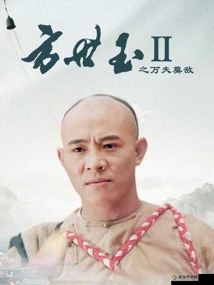 少年侠客 2:谁与争锋——最强伙伴排行一览