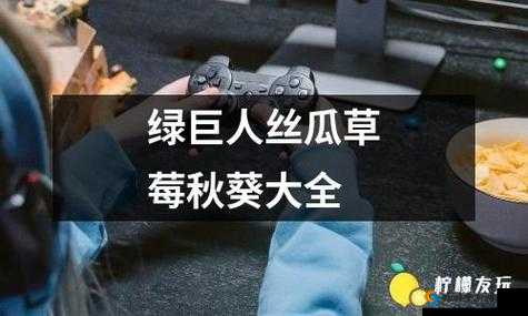 18 草莓樱桃丝瓜绿巨人秋葵：一场别样的果蔬派对