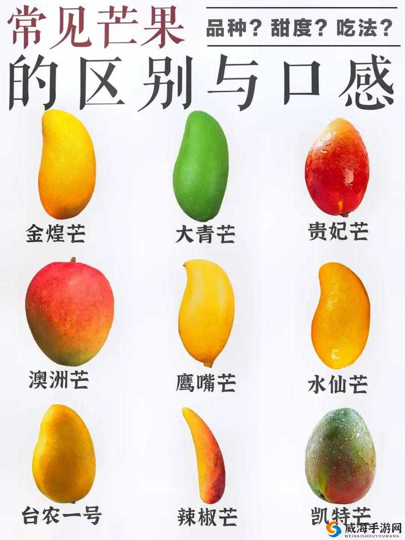 日产精品一线二线三线芒果有什么区别：从品质到口感的全面解析