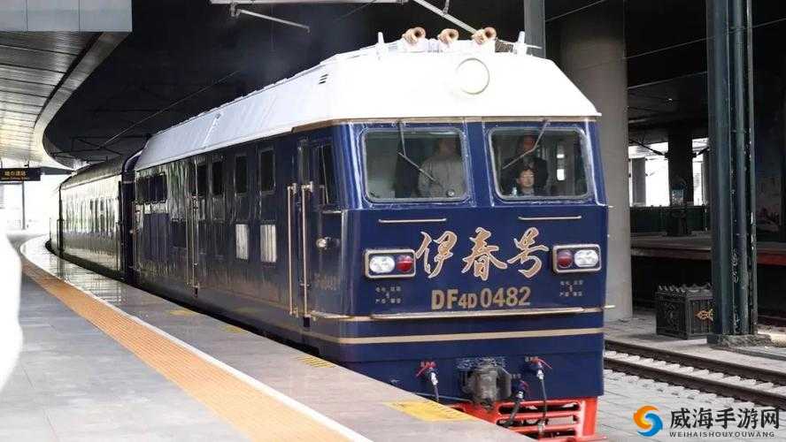 伊春园 2025 入口直达大象:神奇之旅开启
