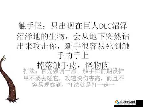 饥荒游戏中如何巧妙走位打怪提升生存几率详细攻略