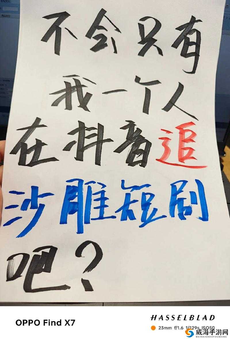 yayaya 视频全新体验：不止于此