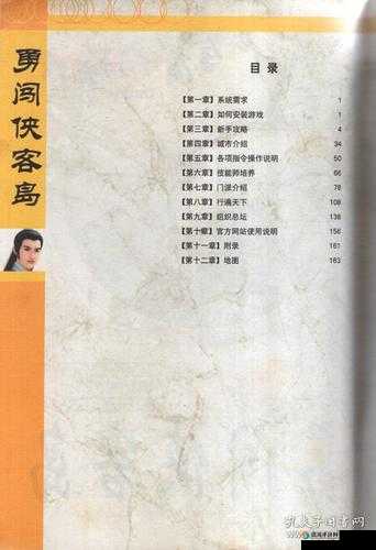金庸群侠传 2 加强版之侠客岛详细攻略与技巧全解析