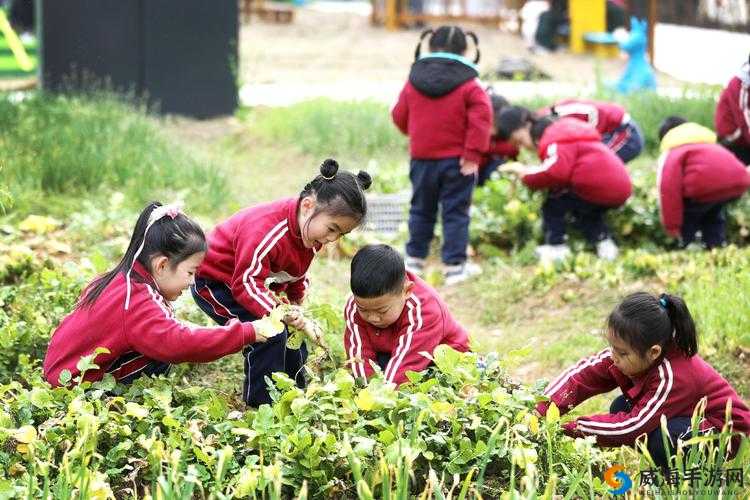 女孩子体验拔萝卜的感觉：一种别样的探索之旅