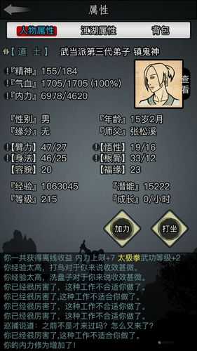 探究放置江湖家园系统的玩法秘籍 解锁独特游戏体验之旅