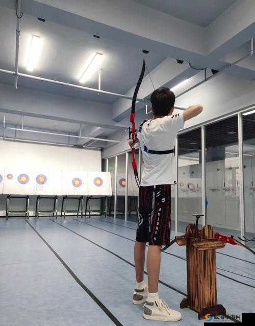 百步穿杨 名酱三国靶场射箭干货教学 让你箭术快速提升秘籍