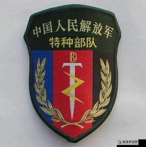 在特种作战模式中究竟存在着多少个不同类型的兵种