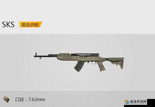 以和平精英累计登录免费兑换 SKS 夜灯皮肤活动开始日期公布啦