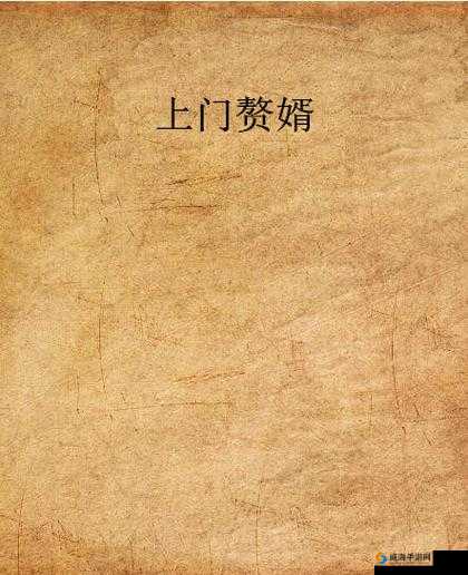 最终还是从了女婿岳风：赘婿传奇