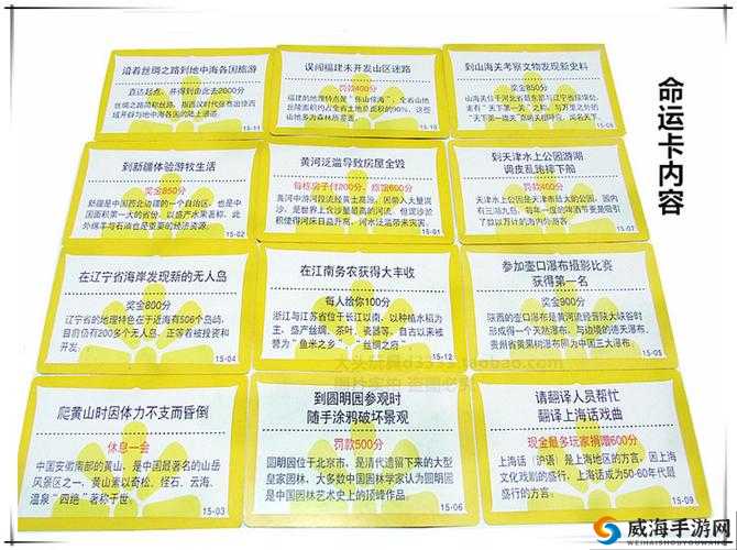 大富翁9小偷卡属性图鉴：揭秘小偷卡的独特魅力与使用技巧