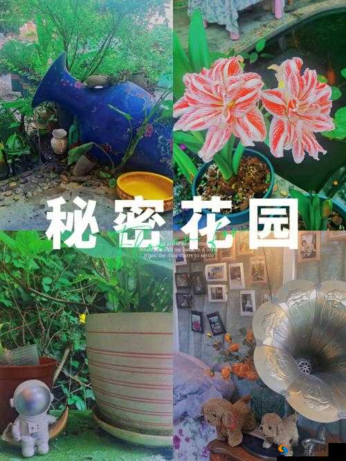 在秘密花园尽情钻来钻去