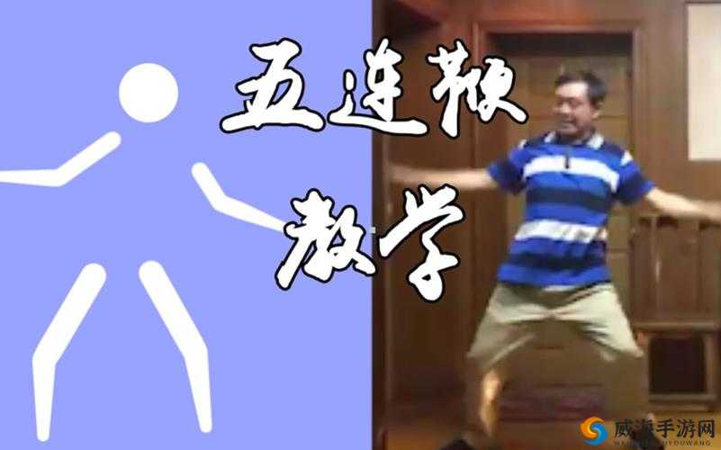 1300 部幼儿视频五连鞭:趣味幼儿视频宝库