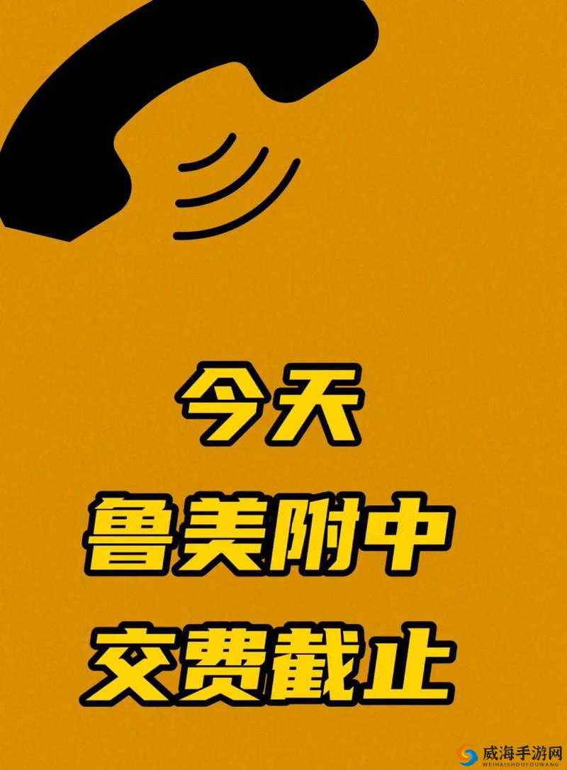 就要鲁就要鲁手机视频：精彩内容不容错过