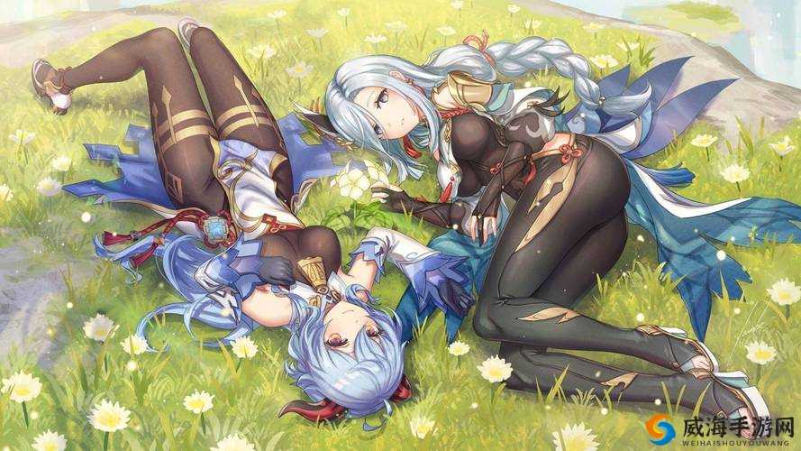 二人世界拔萝卜原神：趣味游戏体验