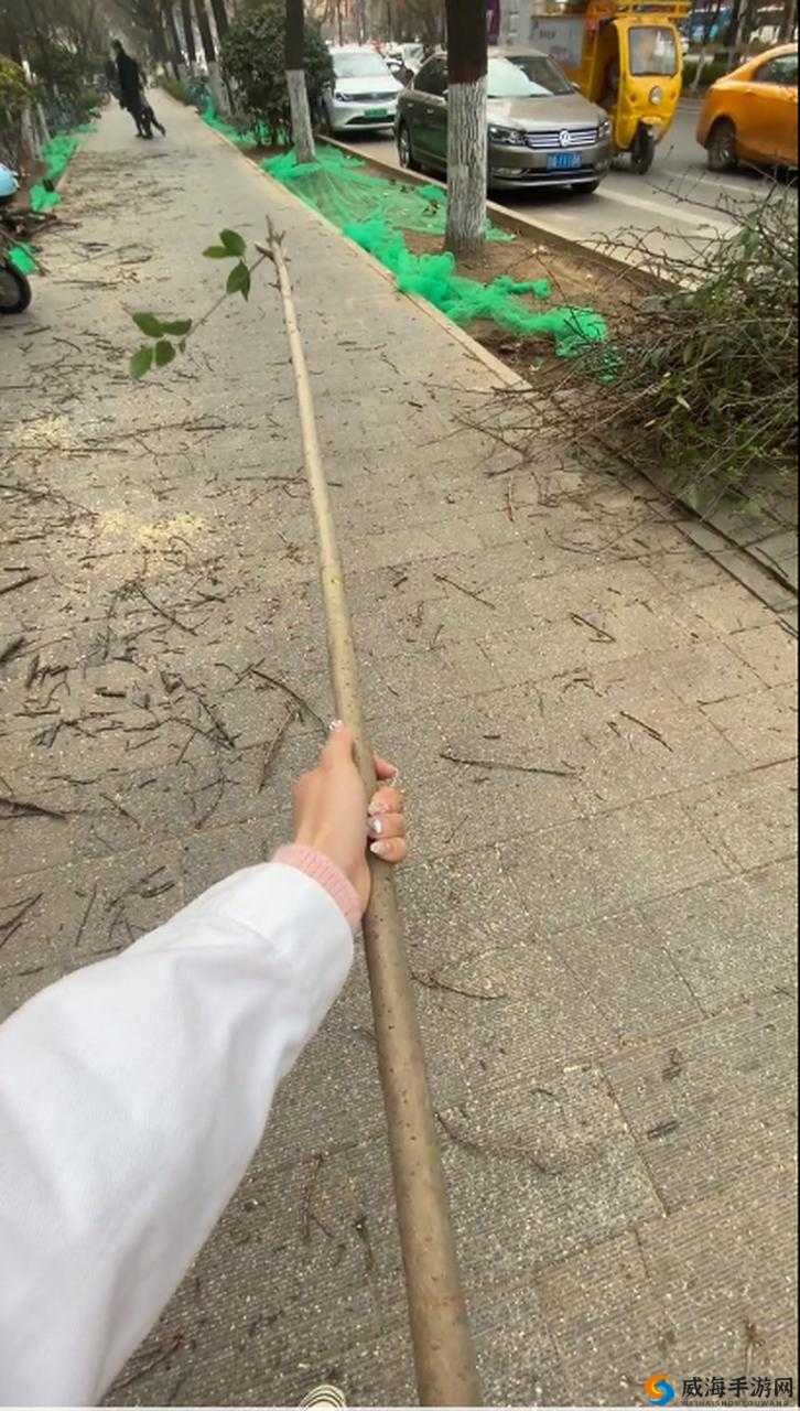 震惊裤子里为何有一根棍子？