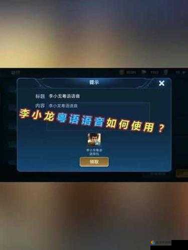 王者荣耀李小龙语音包设置操作方法详细介绍与步骤指南