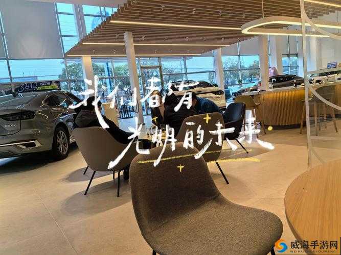 酣畅淋漓的性能释放：带你畅享极致体验