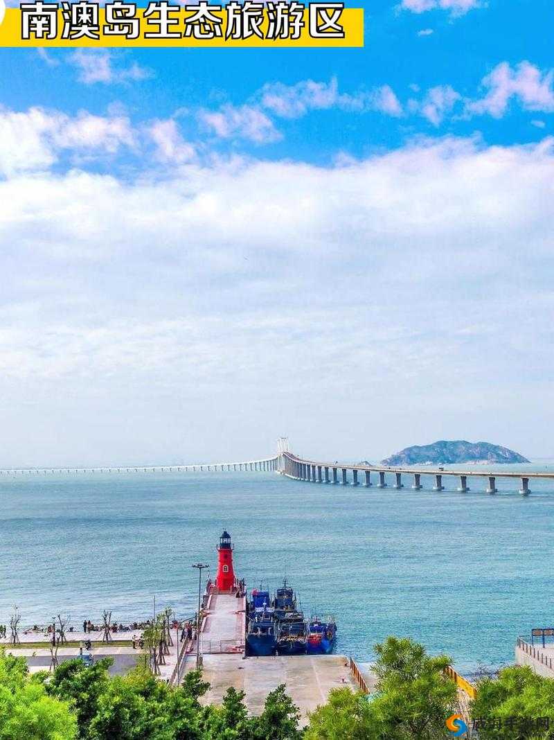 樱花岛网站怎么进入：探索未知的世界