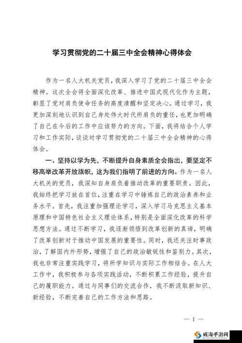 山吹攻略大全：深入解析与使用心得