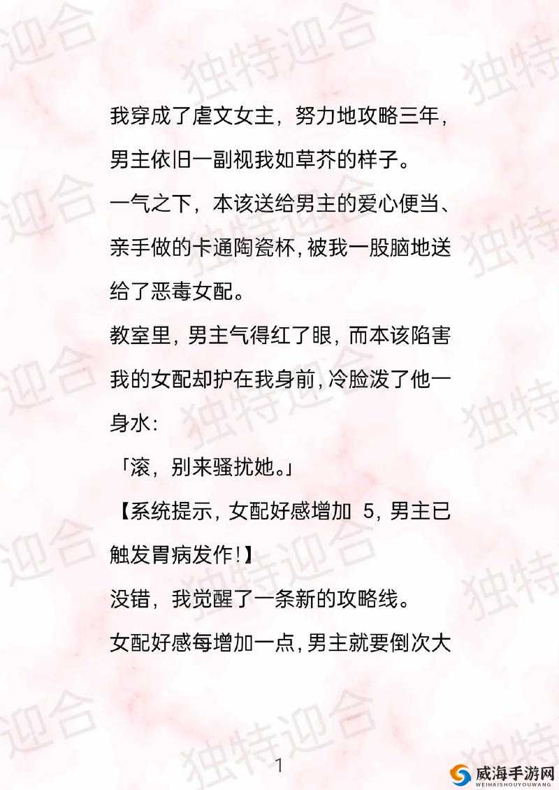 她开始慢迎迎合小说：一段独特的故事