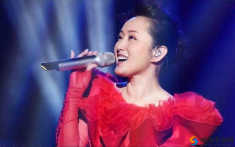 杨钰莹演唱会 2000 新版：经典再现