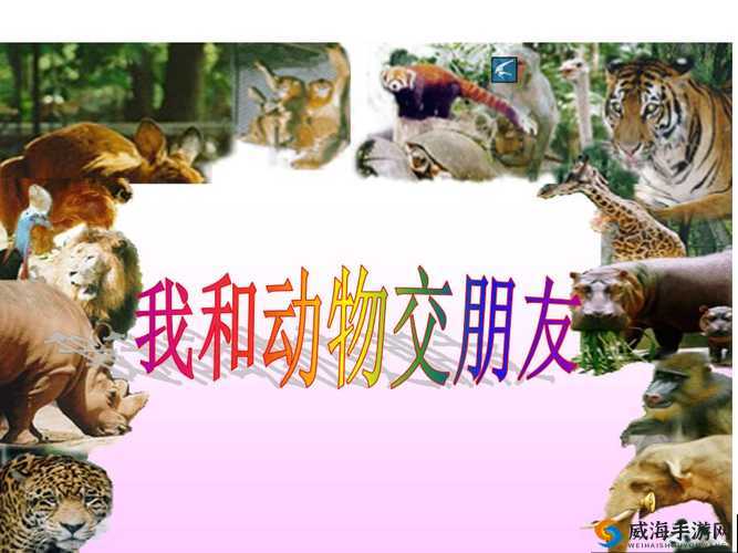 人与动物 PPT 免费模板大全开拓国内市场