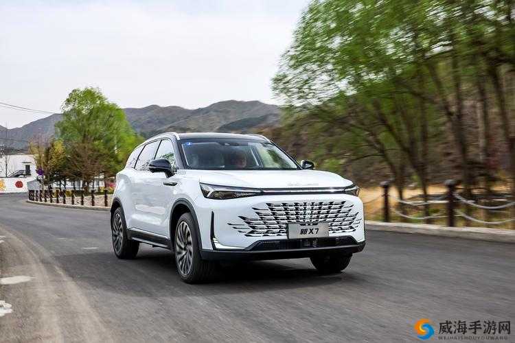 国产 SUV 精品一区二区 6 ：极致驾乘体验之选
