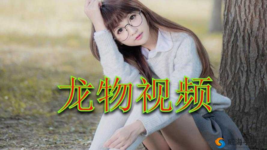yw 龙物失联事件引发关注