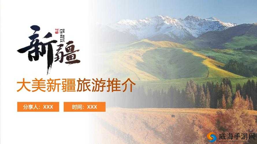 新疆xxx69：关于它的介绍