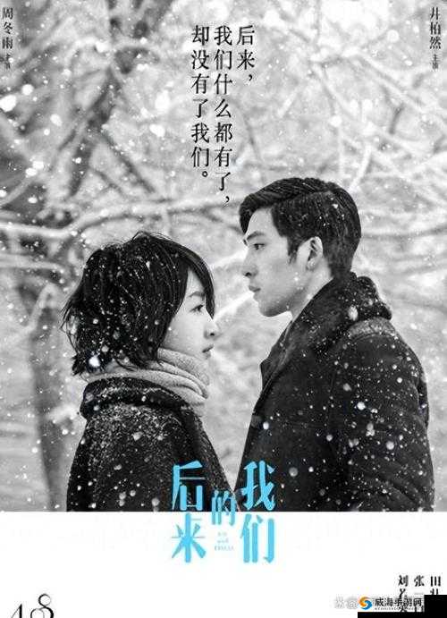 杨大壮和田桂花的第二十九：命运的转折