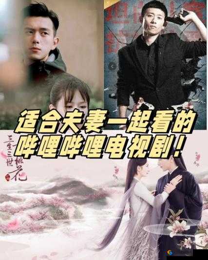 适合夫妻一起看的哔哩哔哩电视剧：甜蜜共赏时光