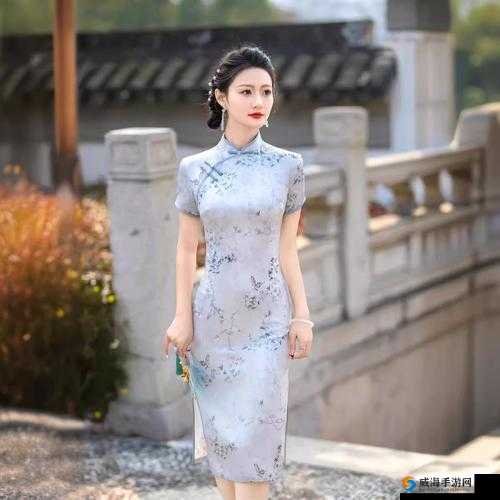 老师双开真丝旗袍施恩价格：高品质与合理价格的完美结合