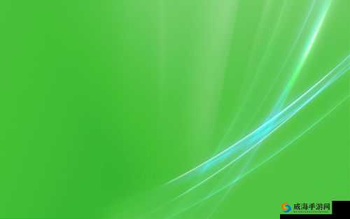 欧美 VPSWINDOWSHD：优势与特点介绍