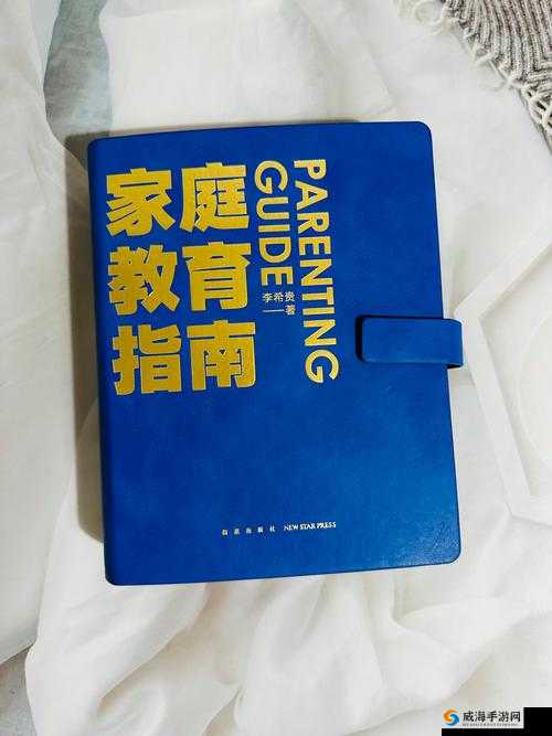 《宝物连击，无双掠夺，战术指南》