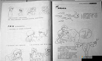美女被操逼引发的热议