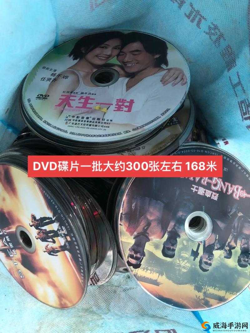 高清 DVD 碟片播放：领略精彩视听盛宴