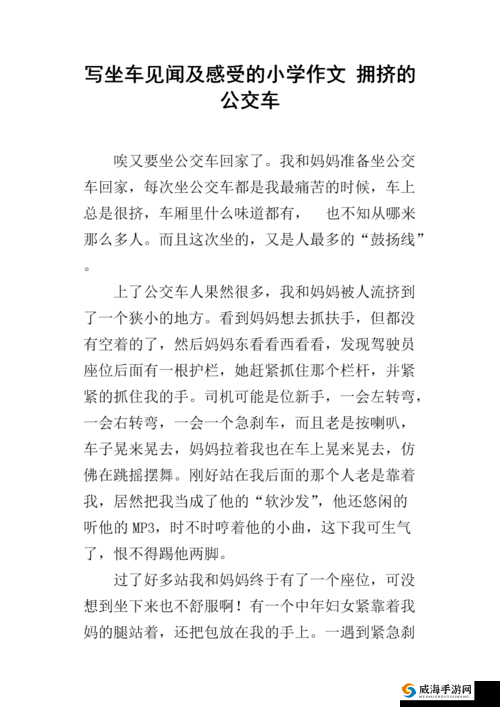 小诗的公交车日记：每日见闻