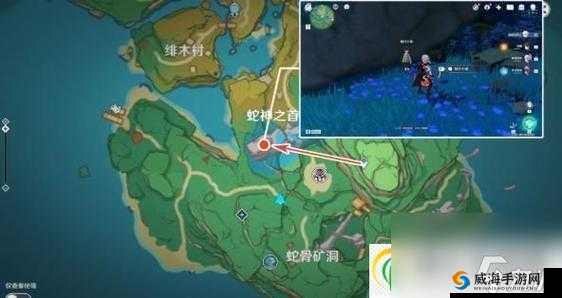 原神鲸井小弟位置全览：快速找到小弟的秘密攻略