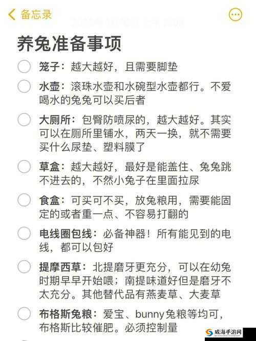 编个笑话找兔子攻略：实用技巧分享