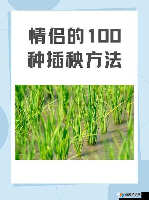 情侣的一百种插秧法：新奇有趣的农耕体验