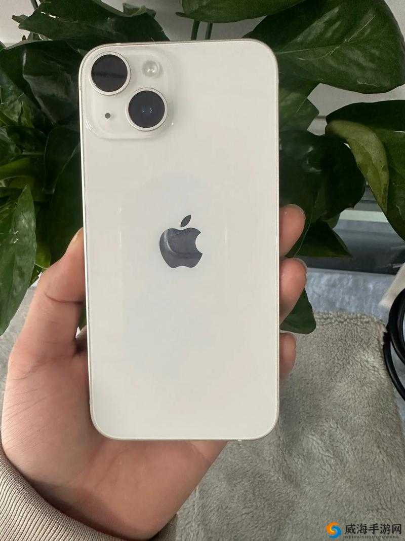iPhone14 欧美日韩版本失效持续很久了哭诉：谁来拯救