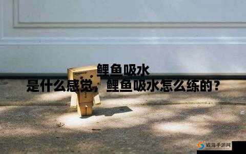 会鲤鱼吸水能否抓住男人心？