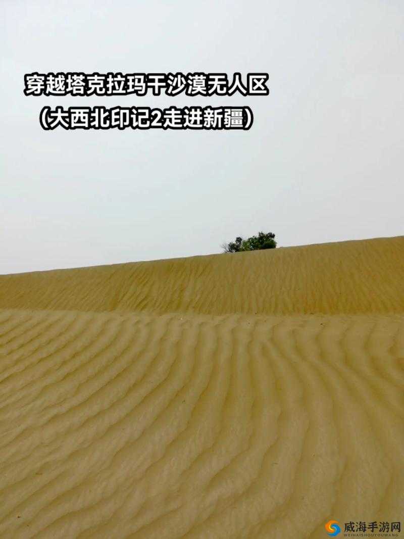 无人区 2 与 1 区别究竟何在