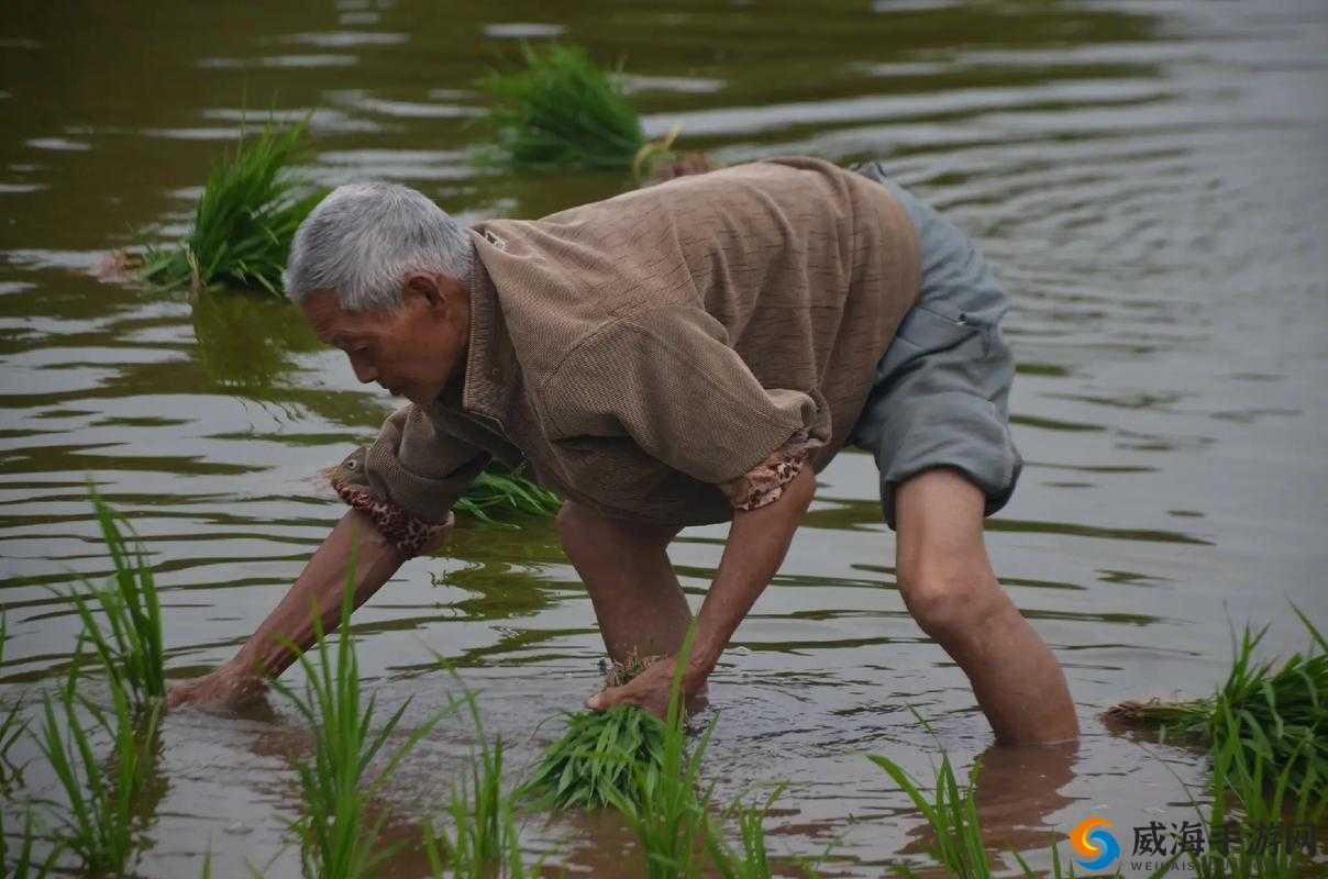 弯着腰弓着身子的样子:勤劳的农民伯伯