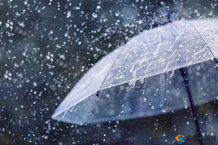 外回り中に突然の大雨一雨宿：雨中遭遇