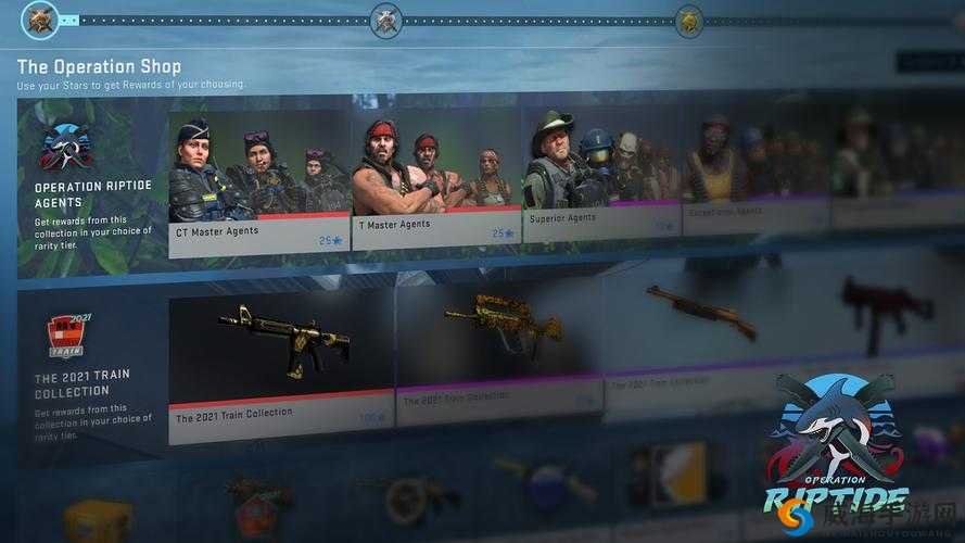 CSGO 大行动多久一次：规律与频率探究