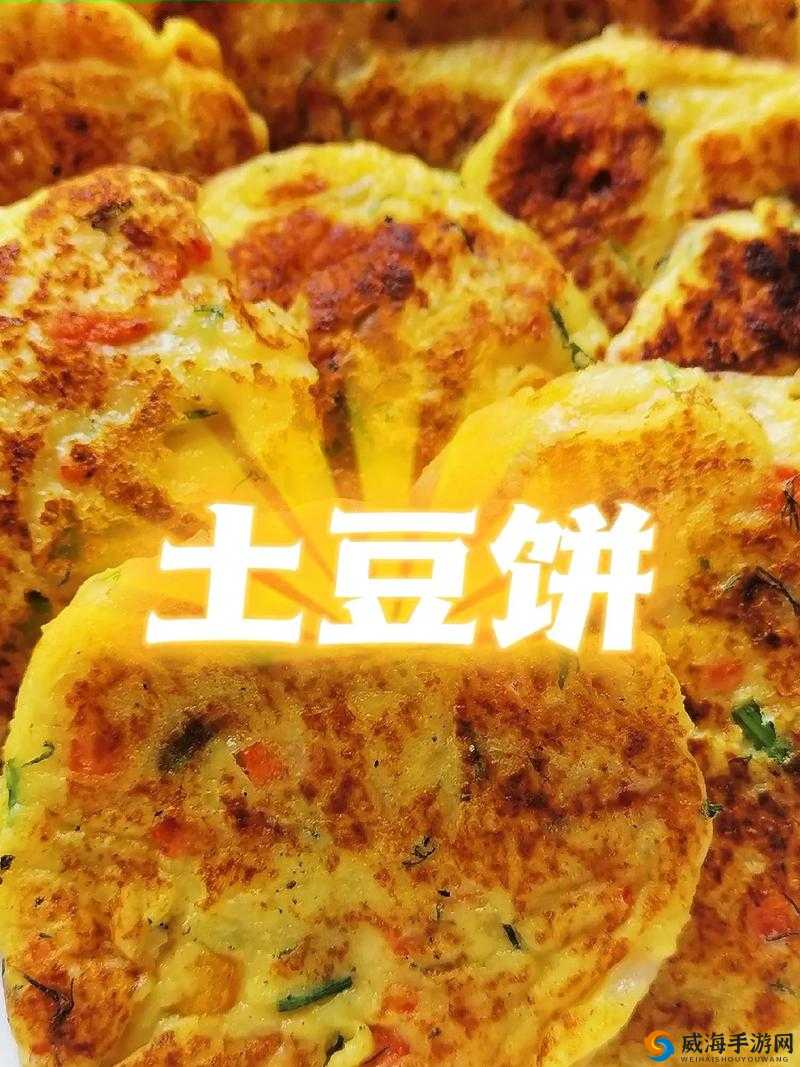 创意烹饪分享：学会制作美味魔法般的香煎土豆饼详细步骤